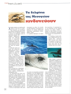 page prev
