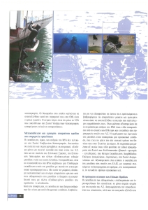 page prev
