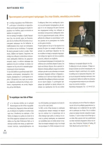 page prev