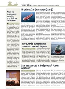 page prev